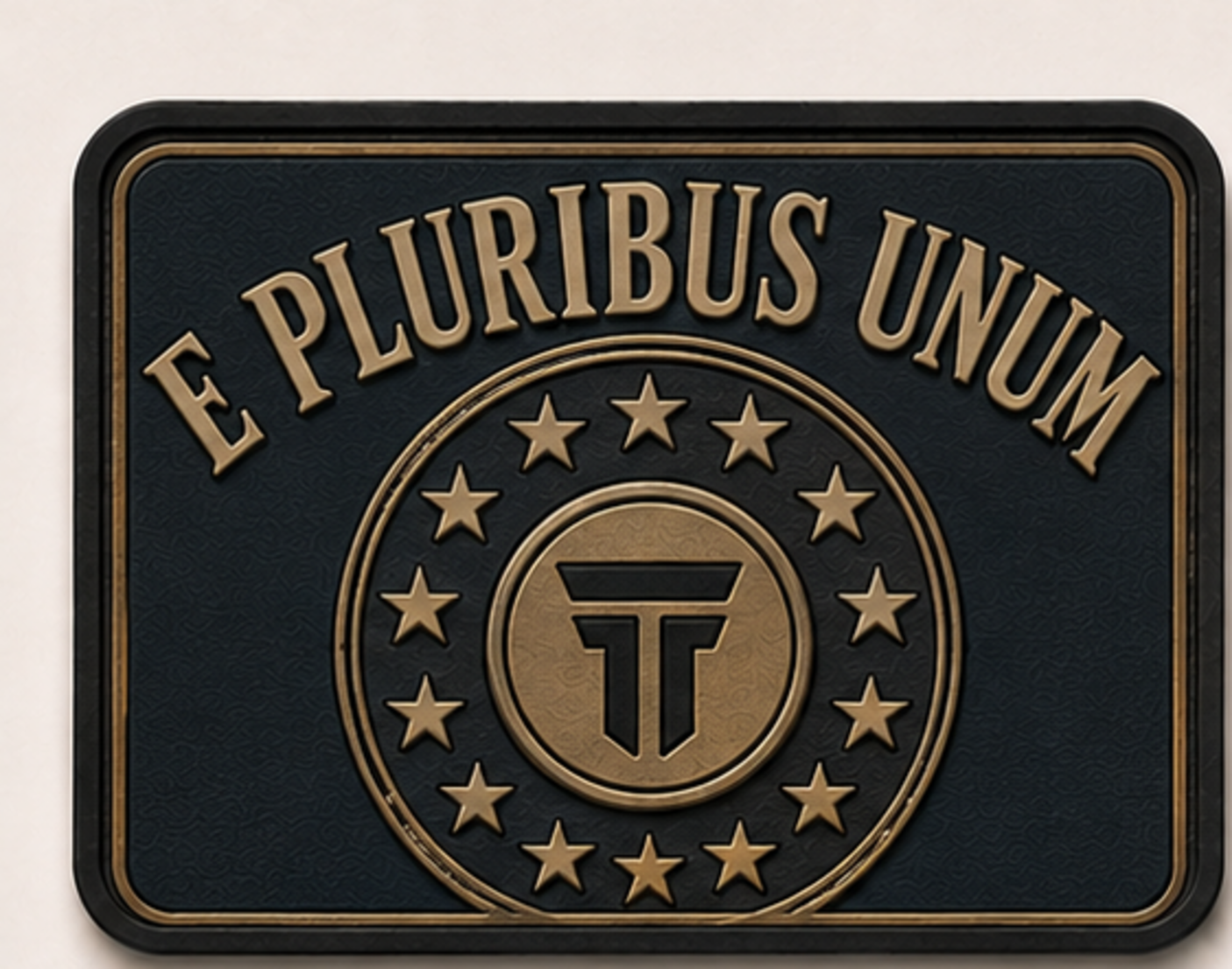 E Pluribus Unum patch, brass seal ringed by thirteen stars on navy